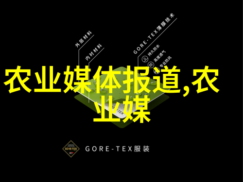 蜂蜜与水的完美结合提升免疫力秘籍
