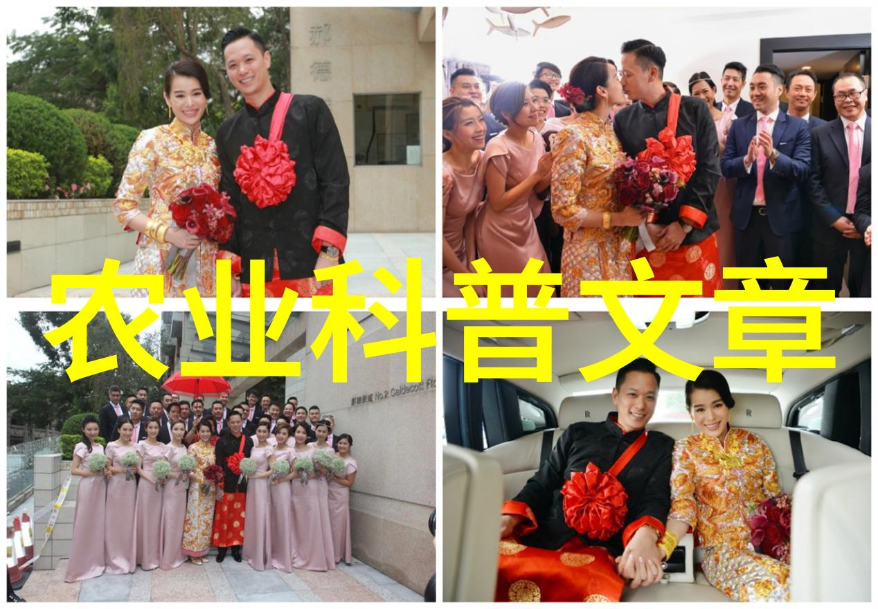 （奋进新时代）（7）河南平顶山：现代生态循环农业助力乡村振兴