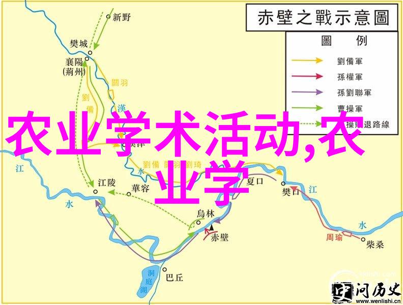 自动化码垛机提升仓库效率与智能化管理