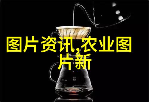 精心栽培灵芝成长一份温馨的种植日记