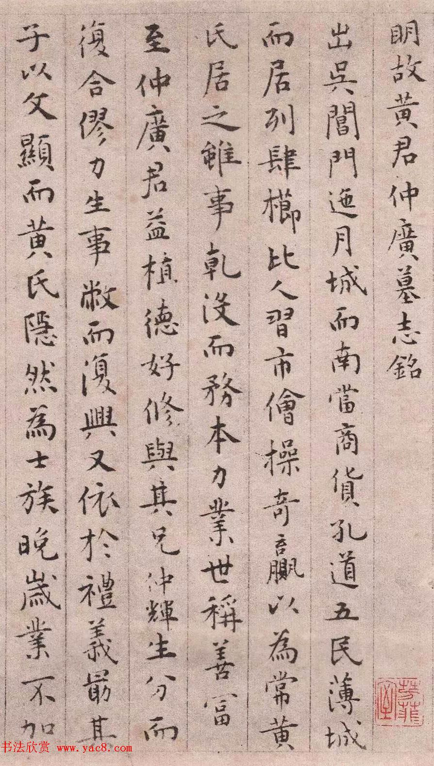 种植一亩射干的经济效益种植业投资利润分析