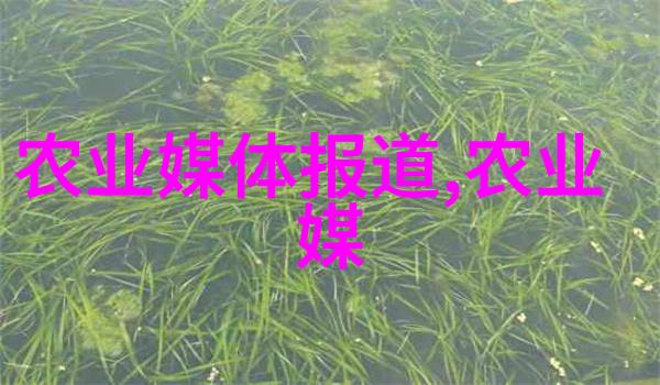 社会中的技术行业哪个最吃香马铃薯生长环境的启示