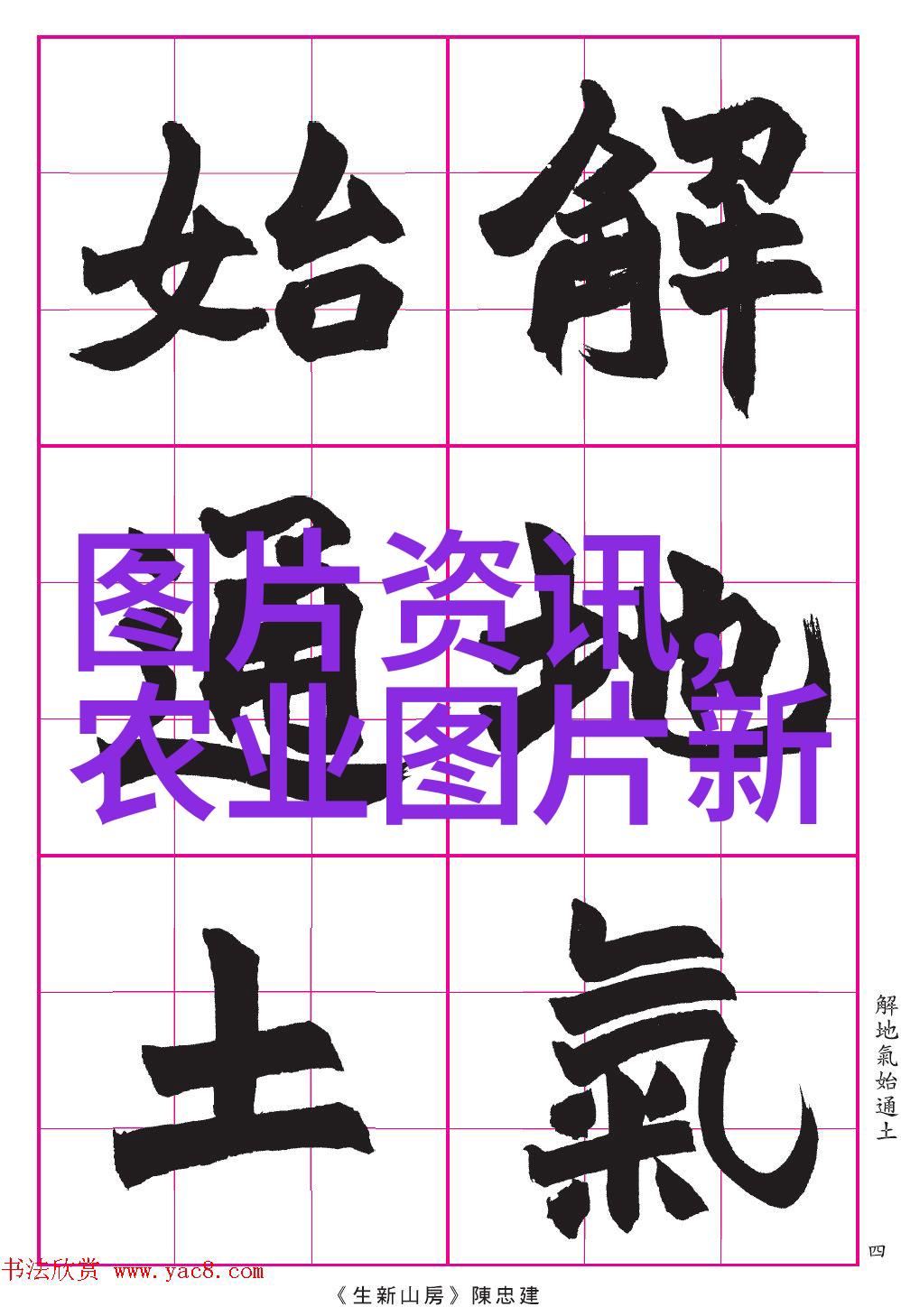 翠绿逆袭茶树叶片的隐秘力量