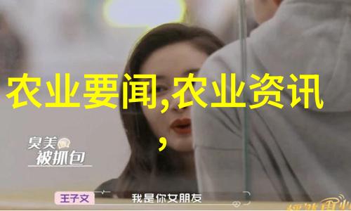从传统到智能历史回顾及未来展望关于皮帶機技术发展的文章