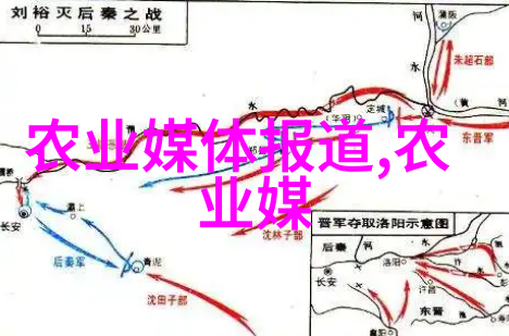 蔬菜大棚补贴2021价格表来看看这份补贴清单吧
