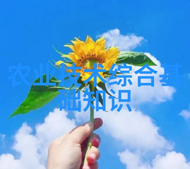 北京发布多项促进数字经济发展政策