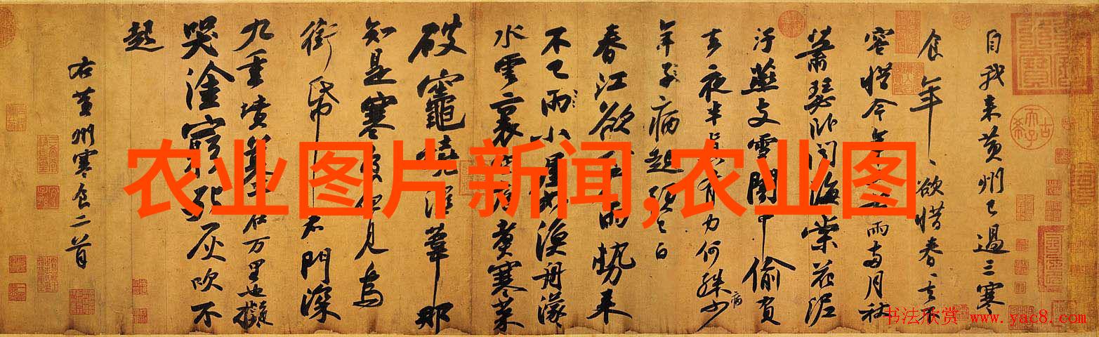 养殖培训班教会我怎么把农村的畜牧业搞得红火起来
