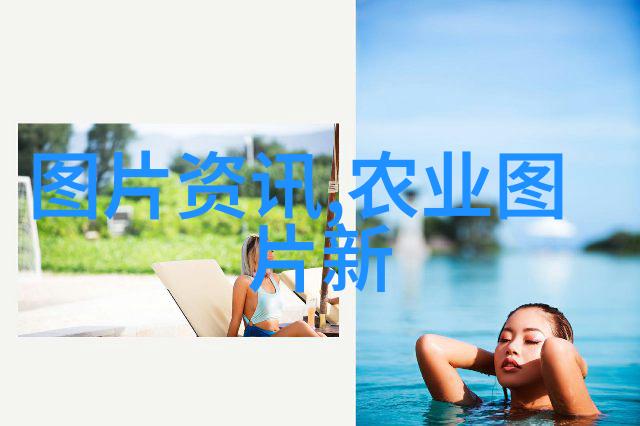 精彩揭秘庭院蔬菜种植技术与管理全解析