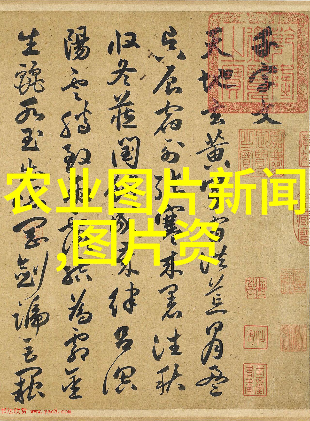 农机大探秘耕耘未来