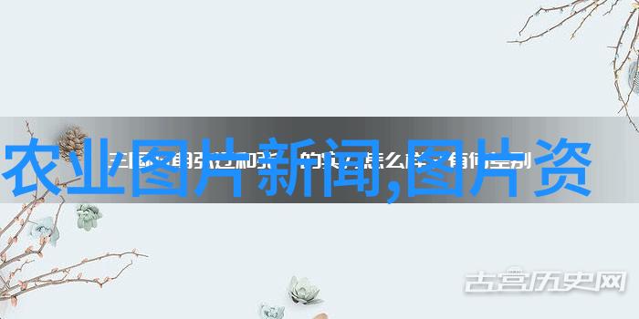 春日盆栽美学花卉图片中的艺术与自然融合
