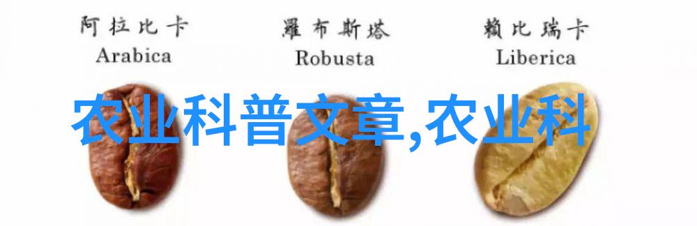 我和枣树的故事我的小院里有棵好朋友那棵永远结满红枣的树