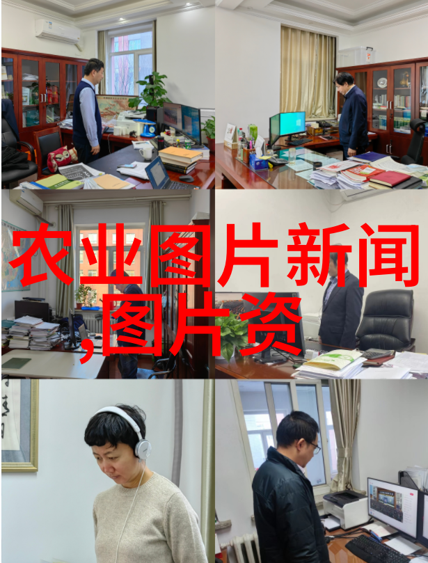 五五工程大获丰收魔芋出新品吃不起的请自行解