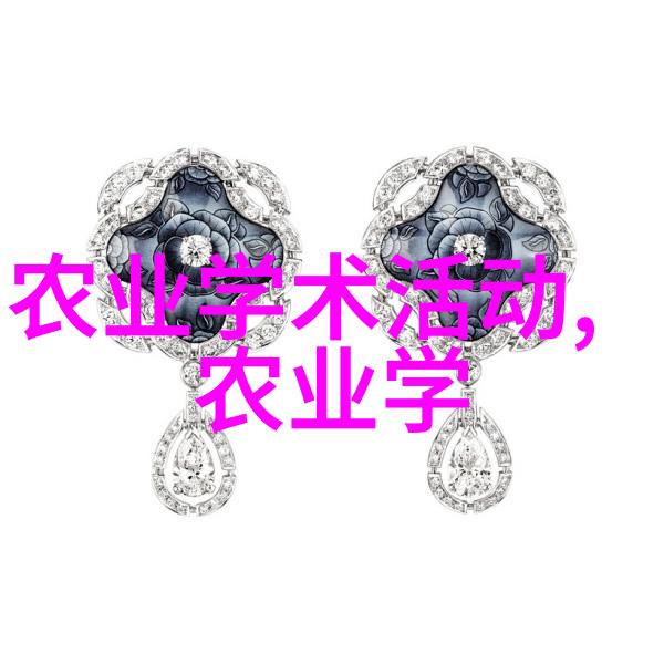 蜜蜂王国探秘养殖技巧与心得分享