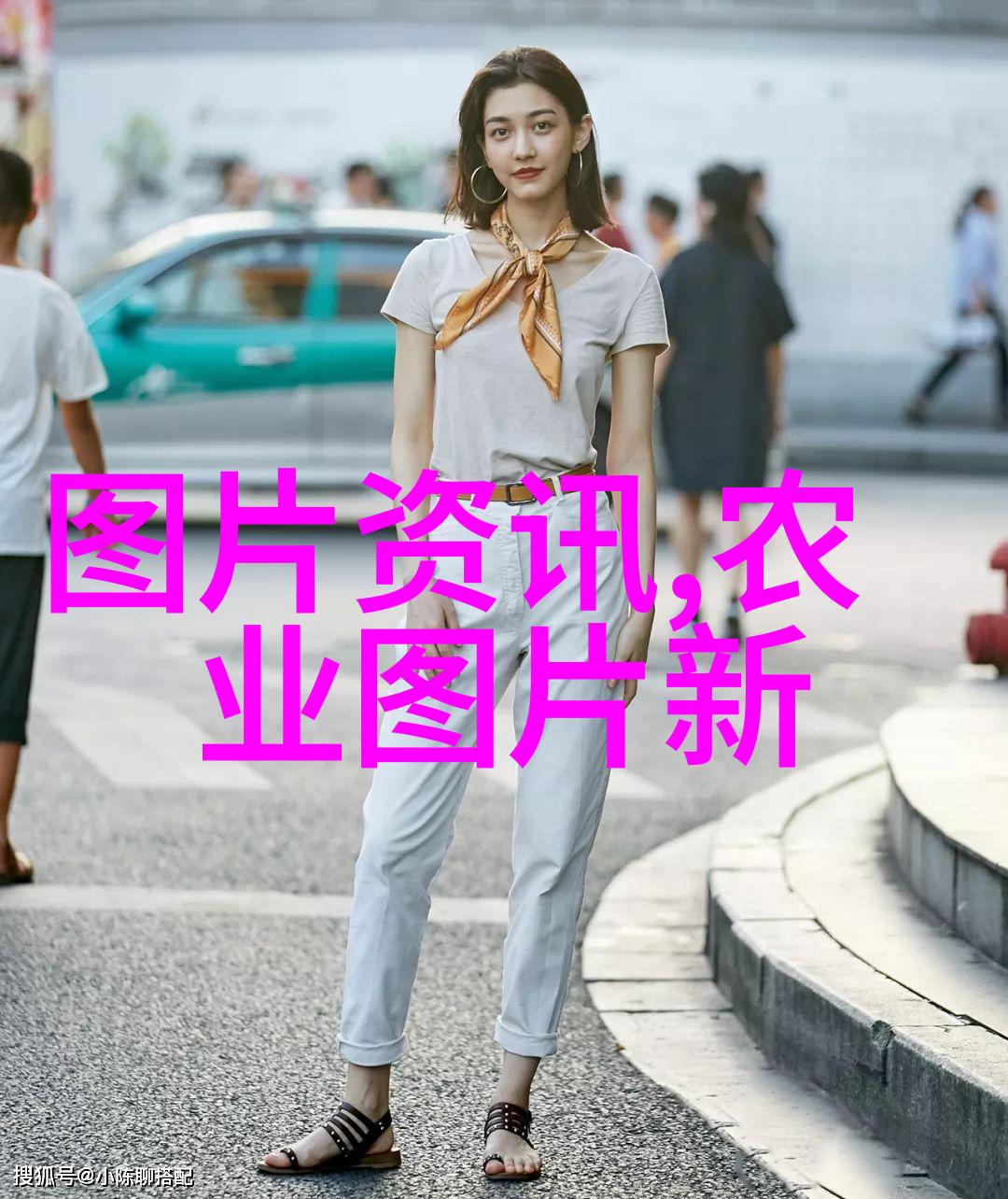 自然-仓鼠的秘密生活洞穴中的温暖与智慧