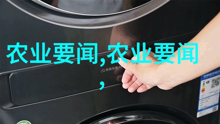 蜂箱管理艺术高效养殖蜂王的技巧