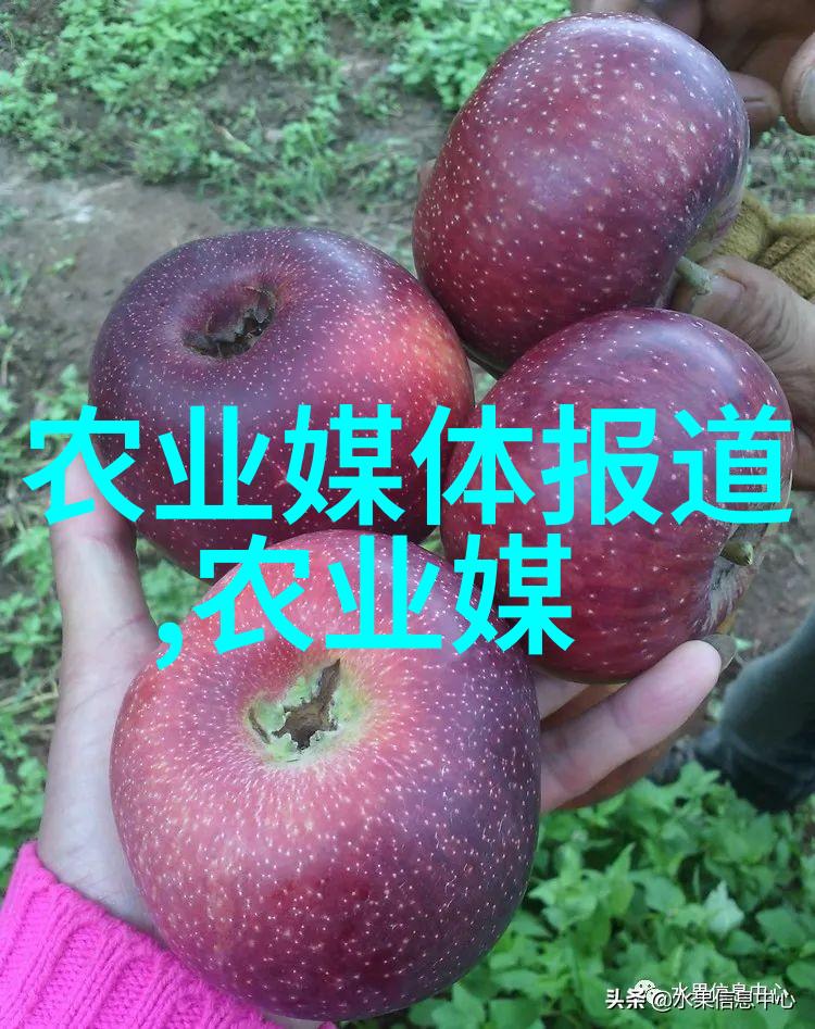 全球农业大学排行榜揭秘未来农耕之星