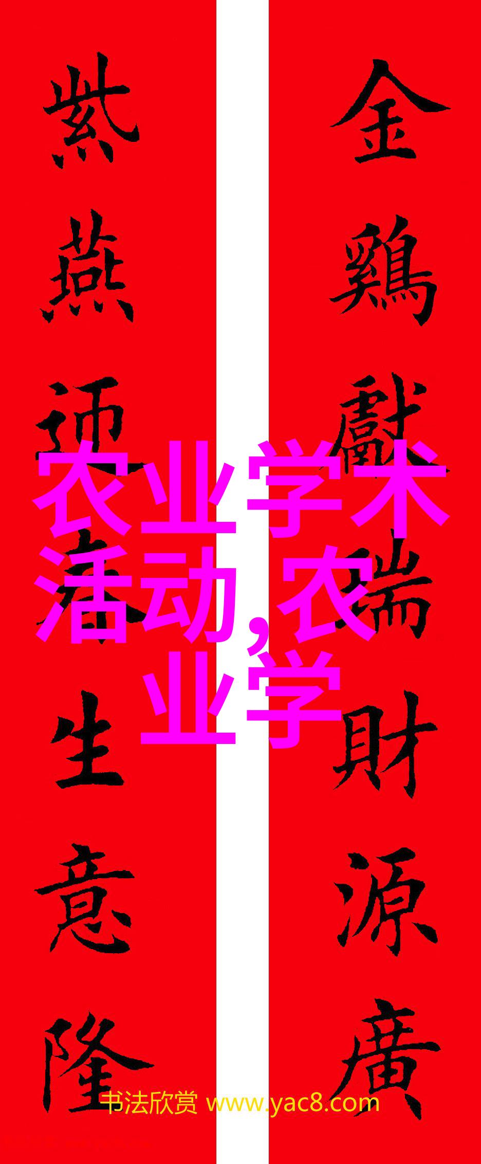农田里的悠闲英雄从土豆到创意休闲农业的奇妙旅程