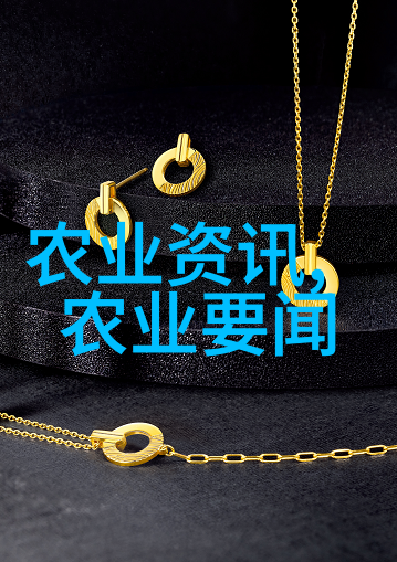 2015年国家科技进步二等奖CIMMYT小麦引进研究与创