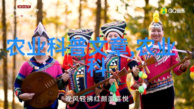 园艺新手必备如何识别和收集各种作物的种子图片及名字