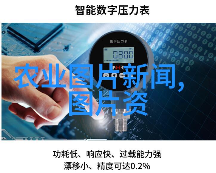 园艺宝典财源滚滚的五种吉祥花卉