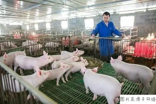 农业媒体报道_农业媒体有哪些_农业报道稿件