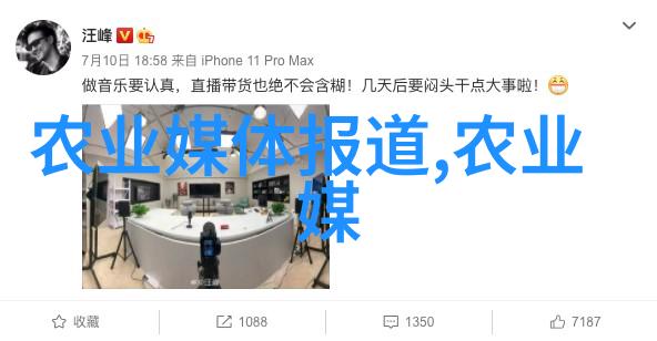 主题我去哪里能批发鲜花最便宜