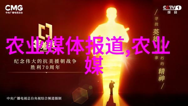 网络资源与地理限制远程监控管理带来的机遇与挑战