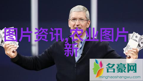 智慧的绿茵惠农网与一亩田的选择