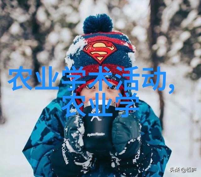 探秘水果籽揭开它们的奥秘与来源