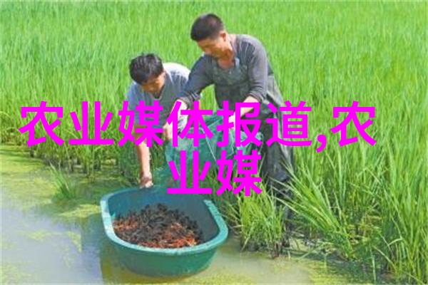 银杏树的价值10年树木的市场定价探究