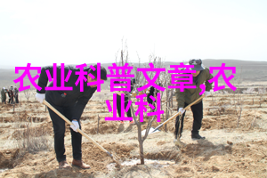 大门两旁不能有两棵树我家的奇特规矩背后藏着什么秘密