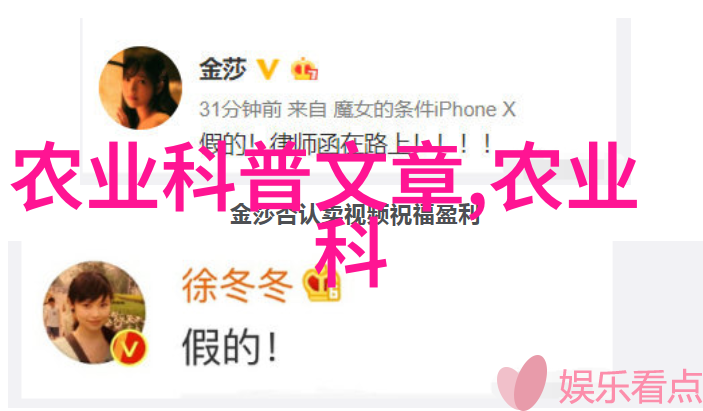 花种子品种鲜艳如火的红莲宝石