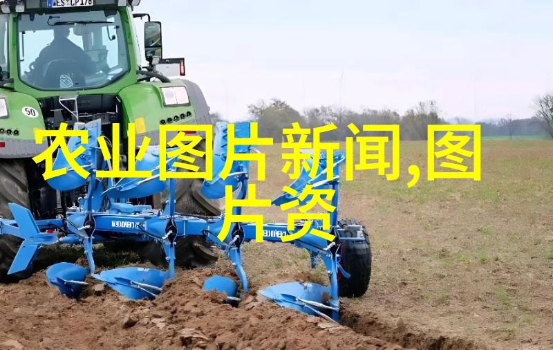 如何正确选择茶树苗进行栽培