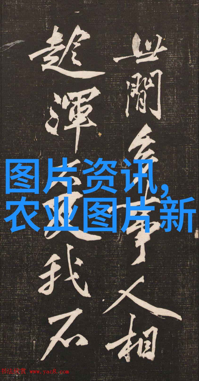草药大师3000种中药材的趣味指南