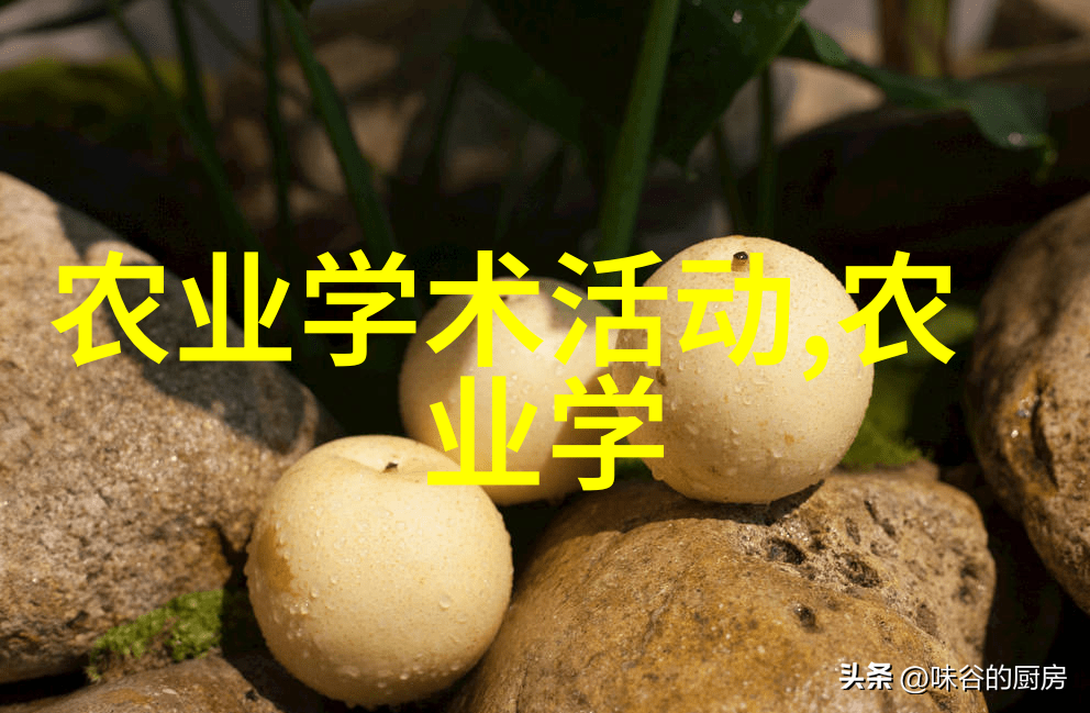 石菖蒲种植艺术与栽培地选用策略