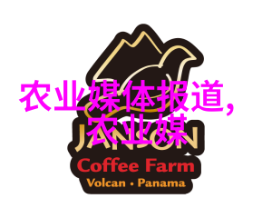 蜜蜂的社会结构与生存策略300只蜜蜂养活一位蜂王的可能性探究