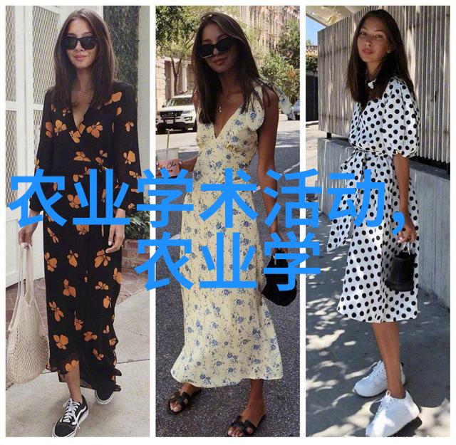 农资产品-春耕必备探索高效农业的新纪元