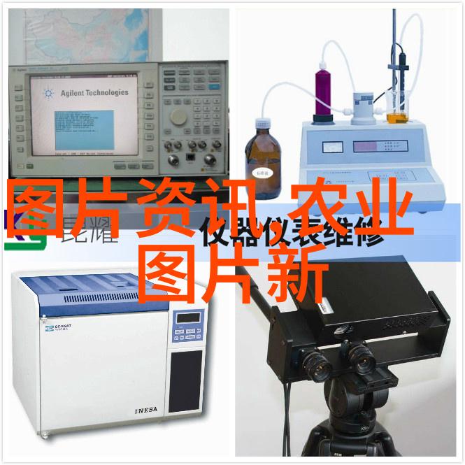黄姜种植技术全解从种子选育到成熟收割的中药材栽培秘诀
