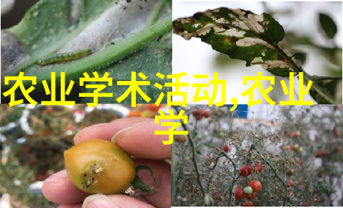 四川之冠品香满园的高山茶与金丝燕的碧绿菊花