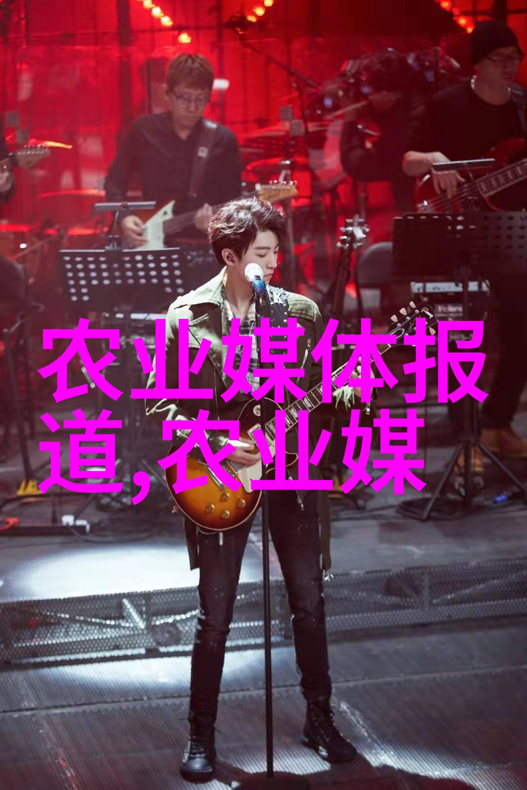 无土大棚蔬菜种植流程-从土壤替代到高效栽培的全过程
