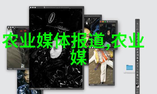 小户农场也能做大气象低成本试用一个家用级别的秸秆打包机