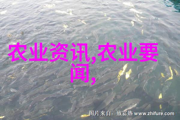 盆栽花卉造型大全大图精美花艺设计家居装饰