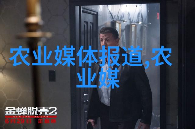 种植奇迹一季速成财富之花