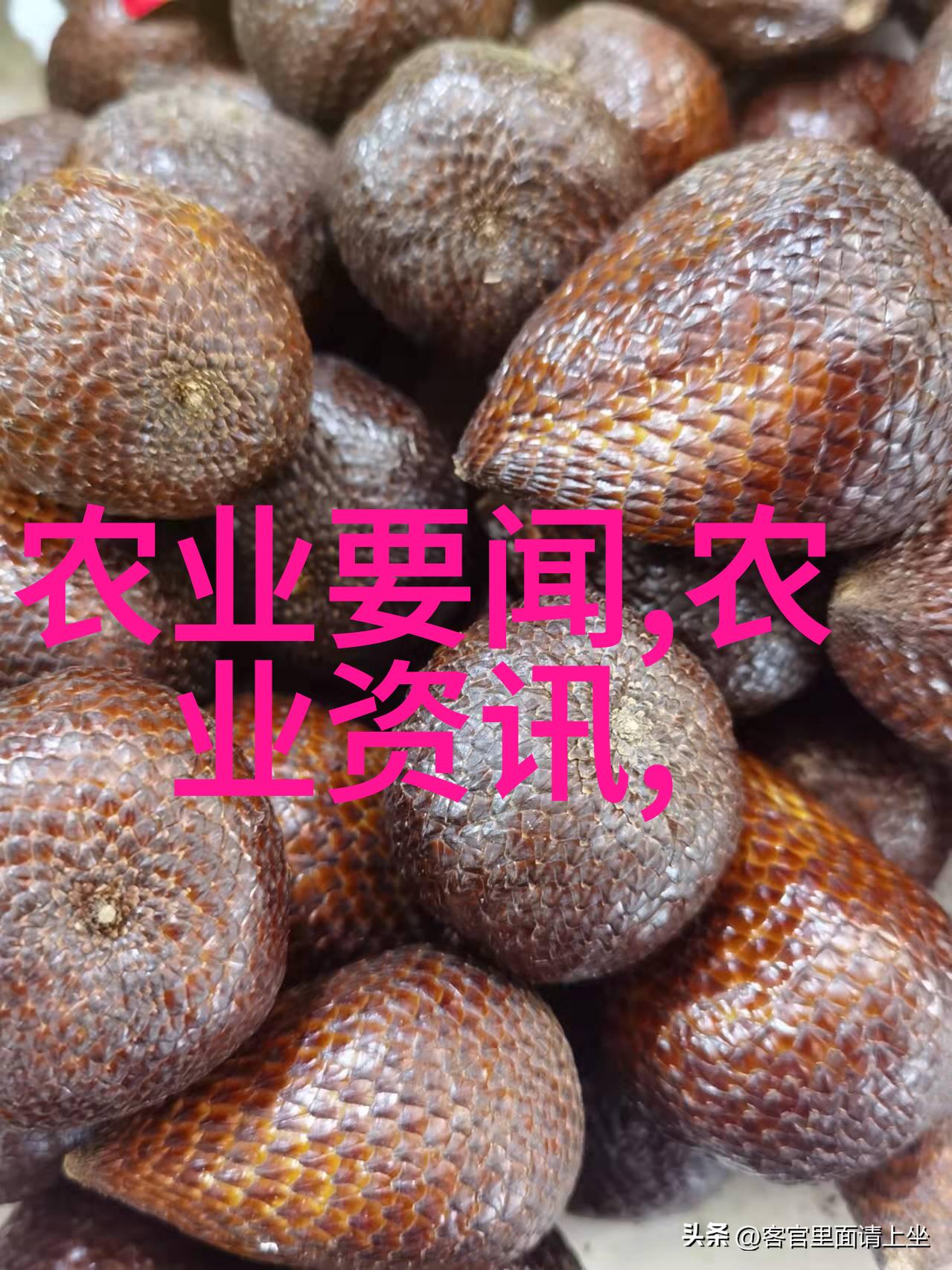 抗疫情先锋队伍如何利用50位小伙伴们带来的新希望让我们一起行动起来为抗击疫情贡献力量
