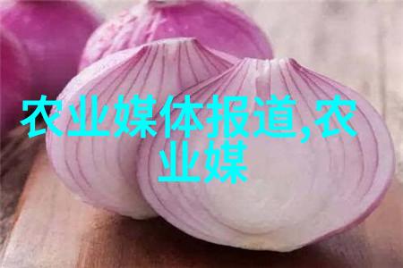 云南金秋时节万家欢 各地丰收产业兴