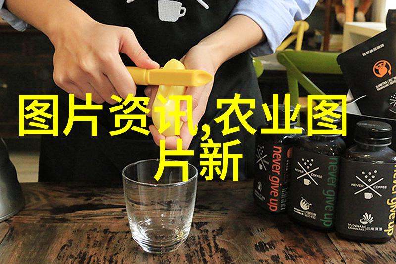 如何正确地保存水果种子以促进其再生