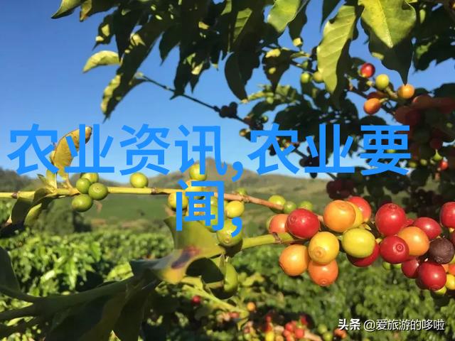 牛圈旁不能养羊的原因探究