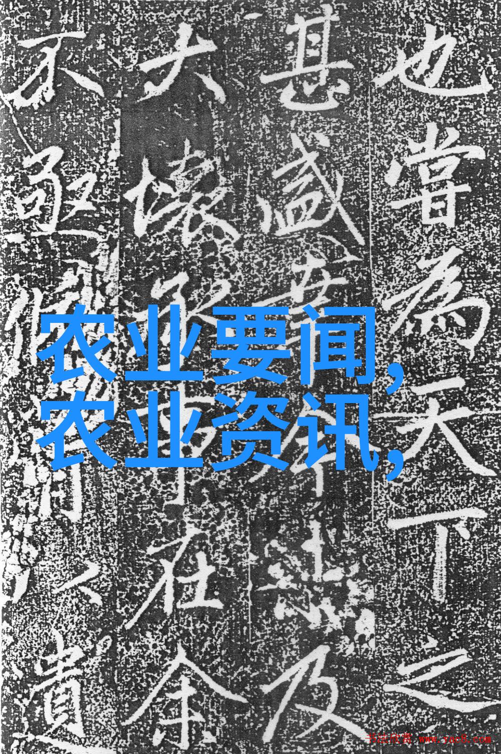 广东药材种植指南揭秘适宜的植物选择与栽培技巧