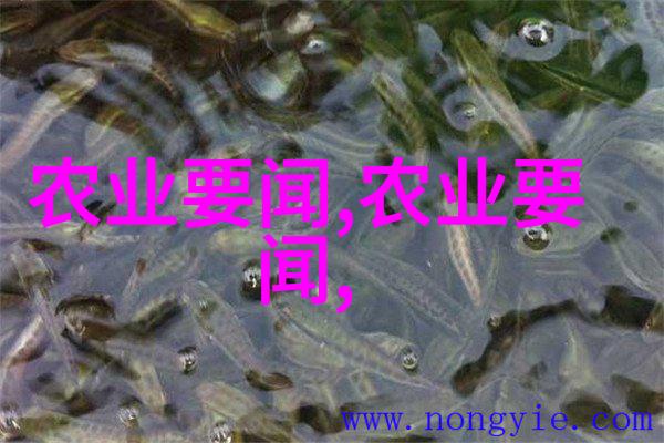 秋天自家阳台适合种什么水果-丰收季节选对阳台的秋季水果