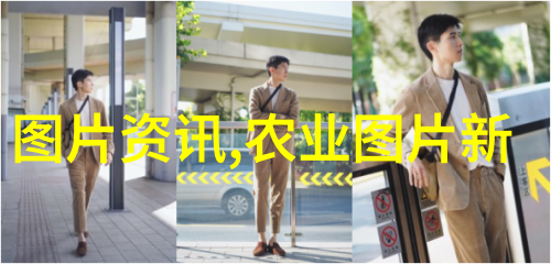 环境友好有机蚵仔煲的做法分享
